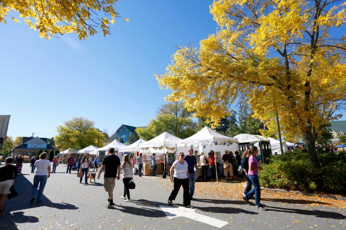 Freeport Fall Festival A Community Celebration