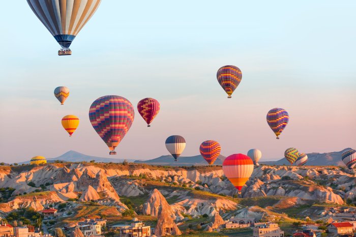 Hot Air Balloon Turkey Festival A Sky-High Spectacle