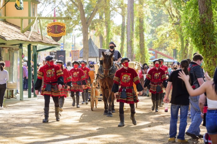 Renaissance Festival Austin