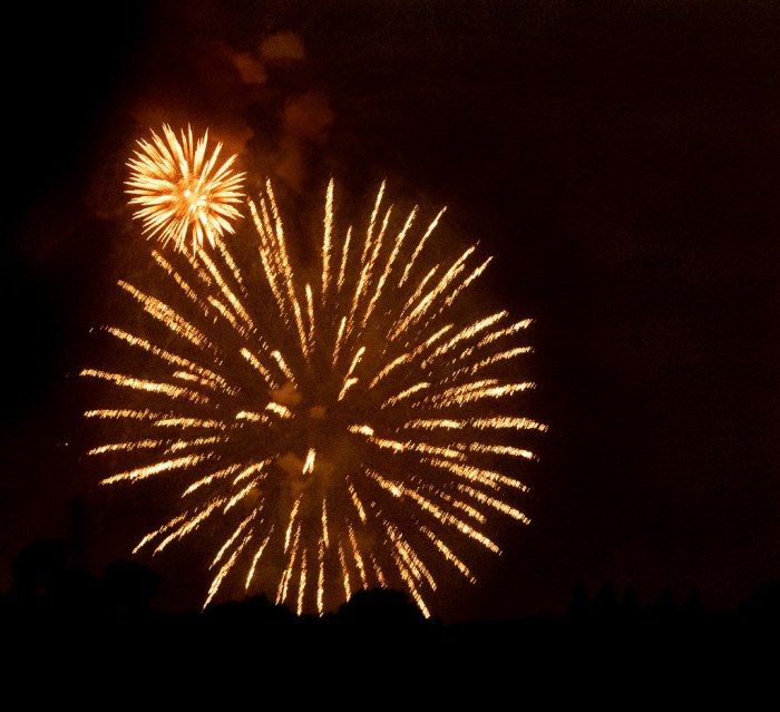 4th Of July Fireworks Festival. Almaden Lake Park. 4 Jul