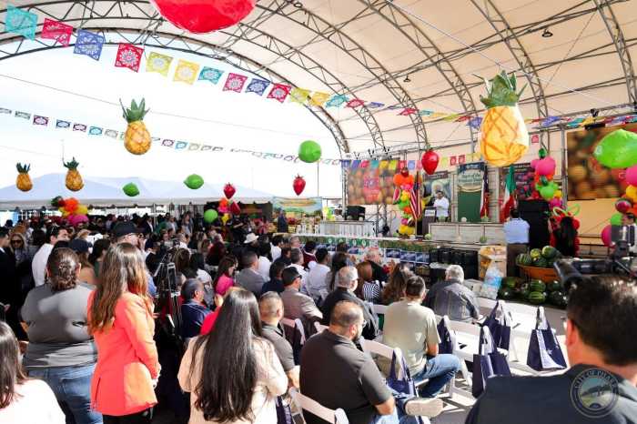 Avocado Festival Pharr Tx A Texas Tradition