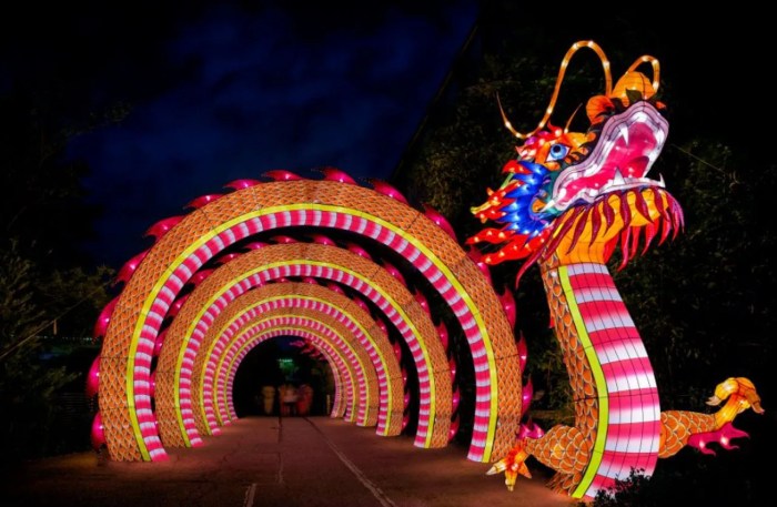 Grand Rapids Lantern Festival 2024