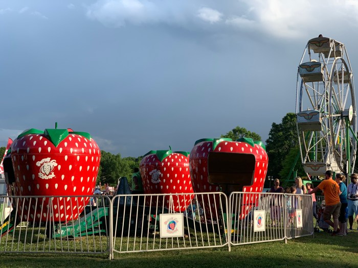 Kirtland Strawberry Festival 2024