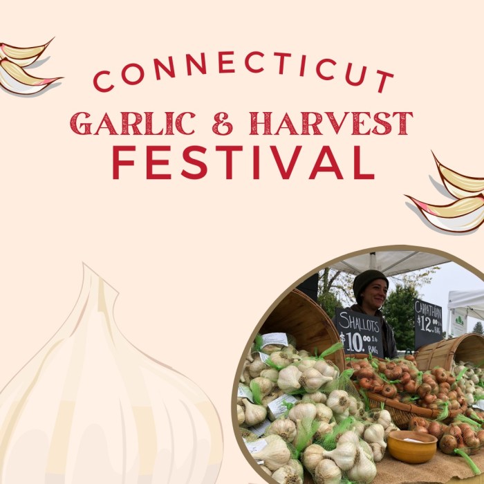 Bethlehem Ct Garlic Festival A Delicious History