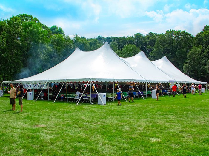 Festival Tent