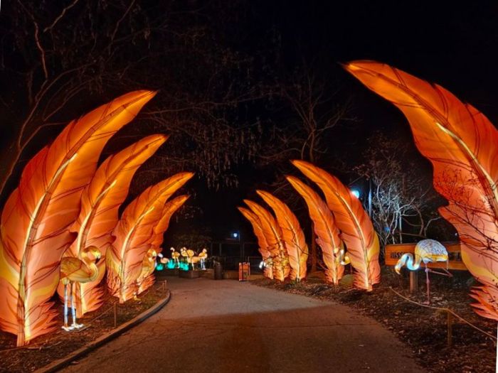 Grand Rapids Lantern Festival 2024