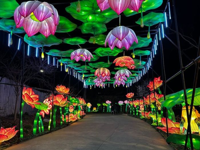 Grand Rapids Lantern Festival 2024