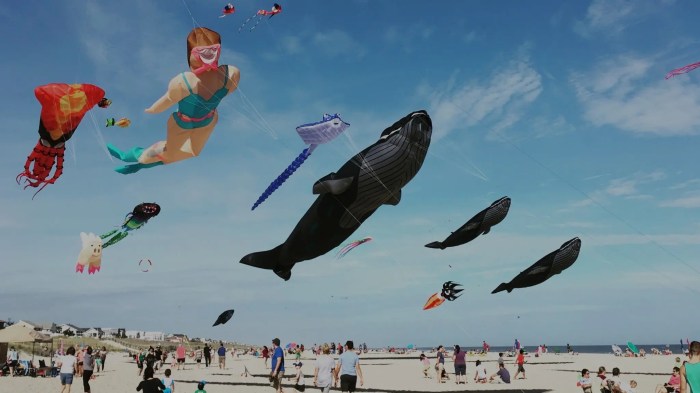 LBI Kite Festival A Colorful Celebration