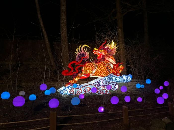 Grand Rapids Lantern Festival 2024