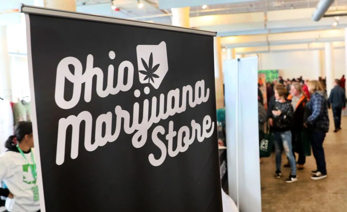 Ohio Cannabis Festival A Deep Dive