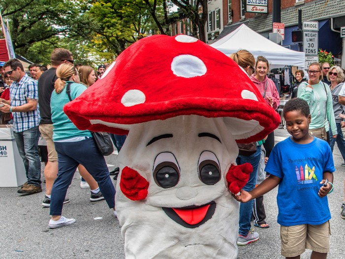 Kennett Mushroom Festival A Celebration of Fungi