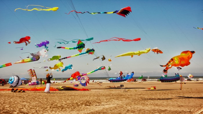 Long Beach Kite Festival A Colorful Celebration