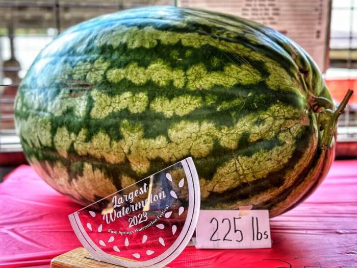 Rush Springs Watermelon Festival A Sweet Celebration