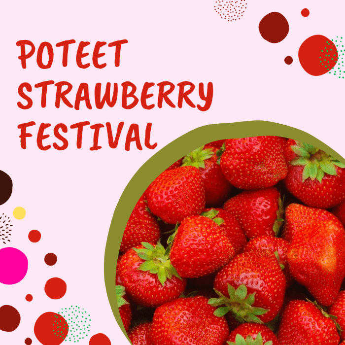 Publix Strawberry Festival Tickets 2024