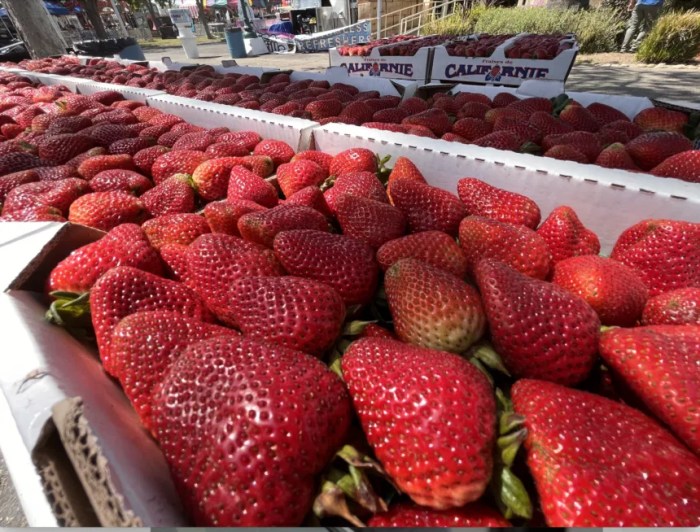 Strawberry Festival Santa Maria