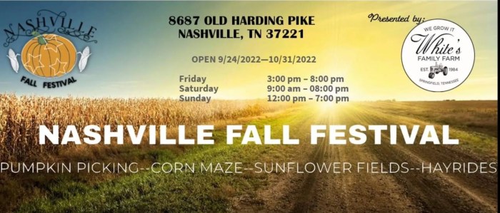 Nashville Fall Festivals A Guide