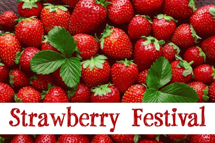 Strawberry Festival 8 Jun A Sweet Celebration