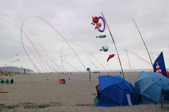 Kite Festival Long Beach WA A Windy Celebration