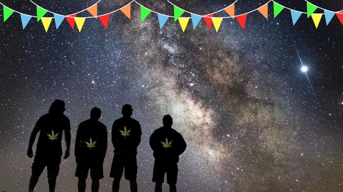 Stargazer Cannabis Festival