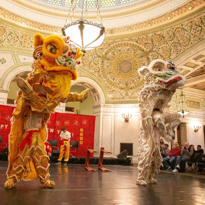 Lantern Festival Chicago