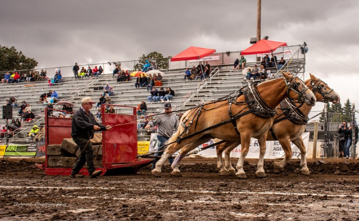 Sublimity Harvest Festival