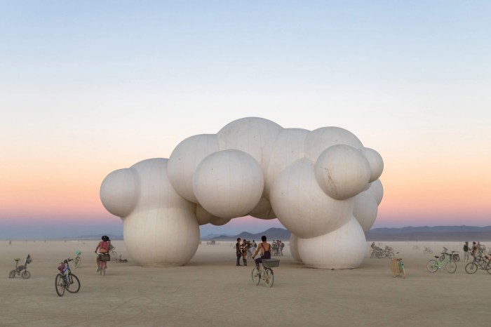 Burning Man Festival NSFW A Deeper Look