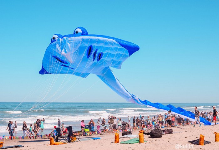 Lincoln City Oregon Kite Festival A Colorful Celebration