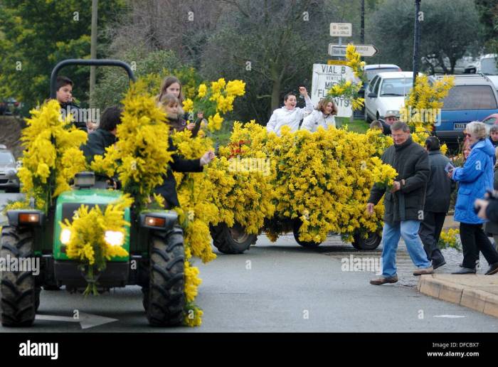 Mimosa Festival