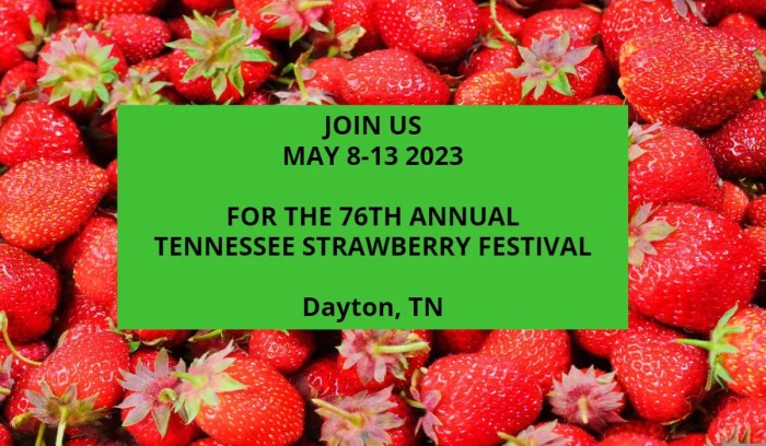 Strawberry Festival Humboldt TN 2024 Schedule