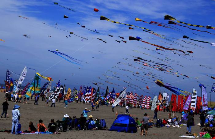 Kite Festival Long Beach Wa