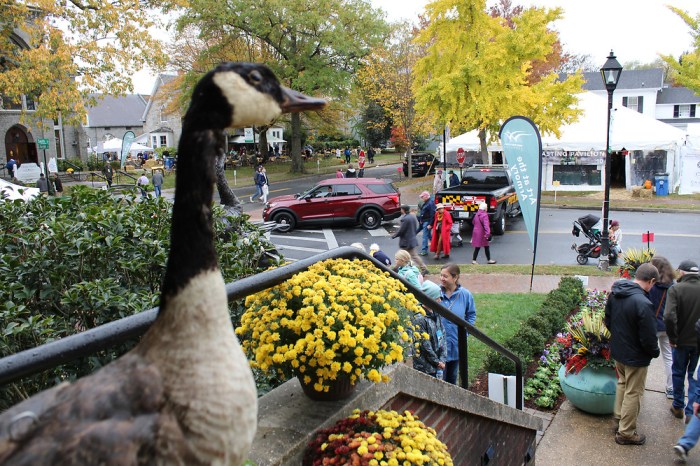 Easton Waterfowl Festival