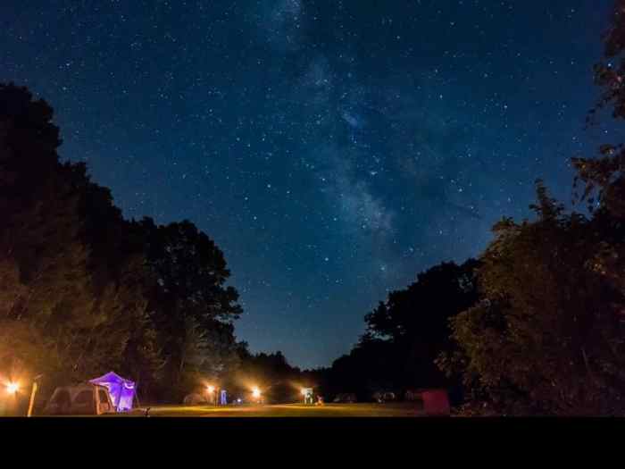 Stargazer Cannabis Festival