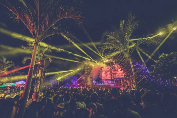 Tulum Music Festival A Deep Dive